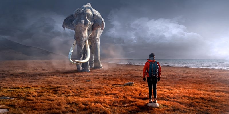 Mythical adventures